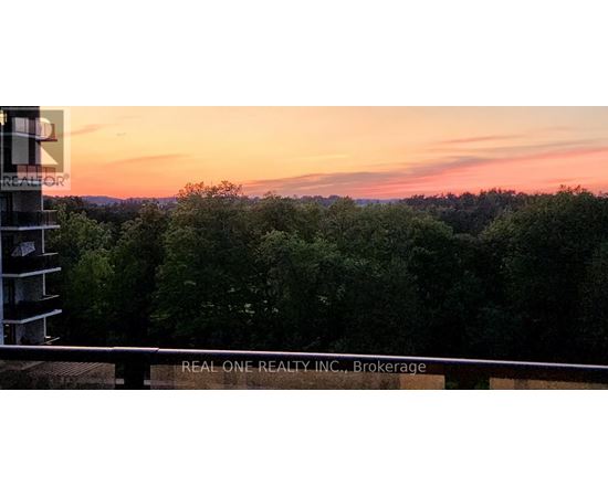 A sunset view from a balcony with trees in the background.