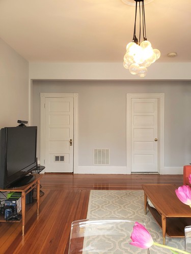 A living room with a television and a flower.