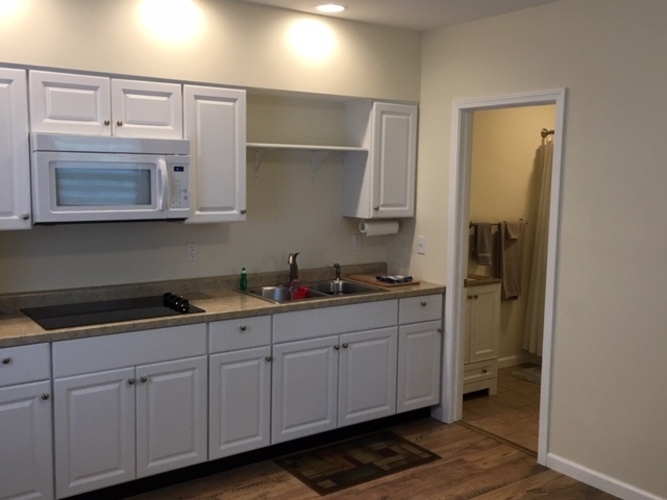 A kitchen with white cabinets and a microwave above the stove.