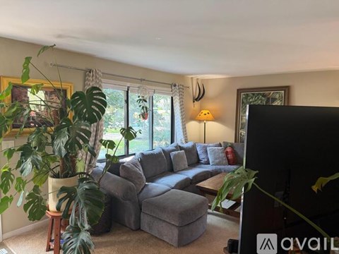 A living room with a grey couch and a large window.