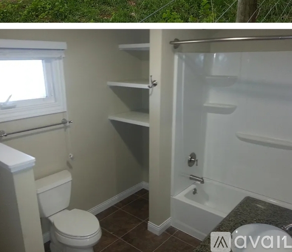 A bathroom with a toilet, a shower, and a window.