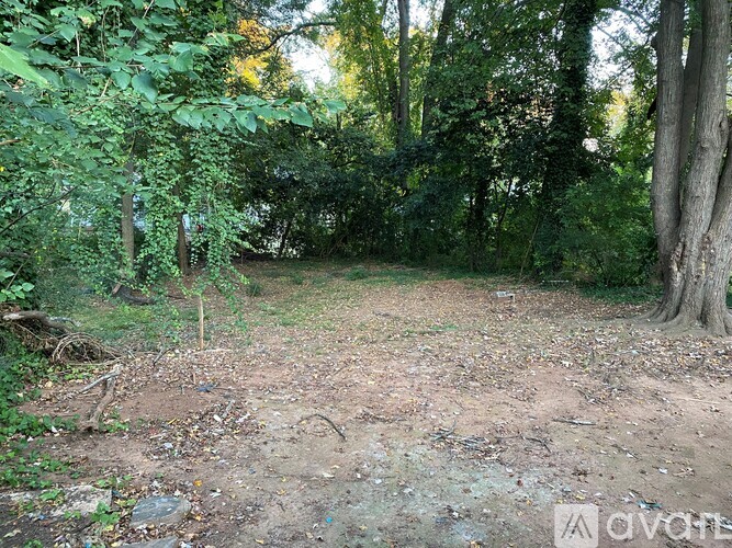 A wooded area with a dirt ground and trees.