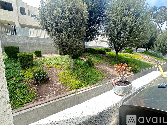 A tree in a pot sits on a ledge in front of a building.