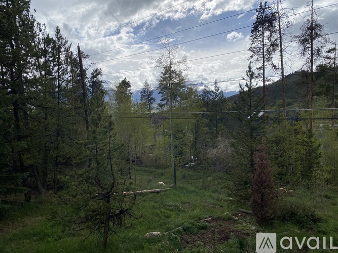 129 Forest Canyon Rd 1 Apartment for Rent - Photo gallery 2