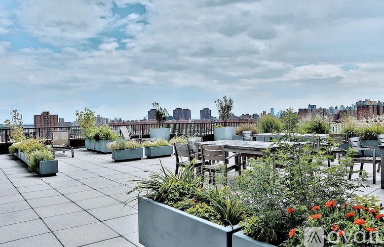 1485 5th Ave 1 Condo for Rent - Photo gallery 5