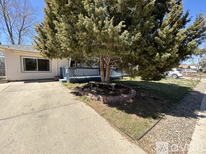 A tree in a backyard with a house in the background.