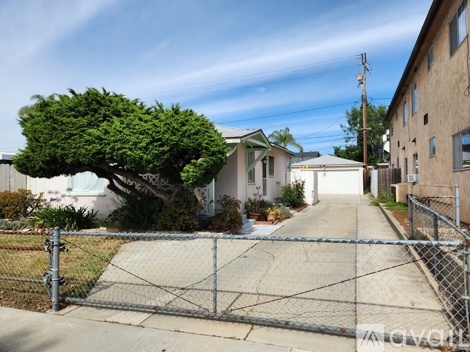 A tree with green leaves is in front of a house.