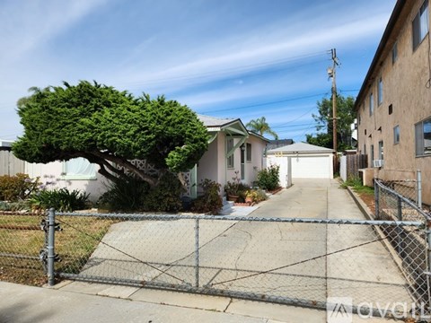 A tree with green leaves is in front of a house.
