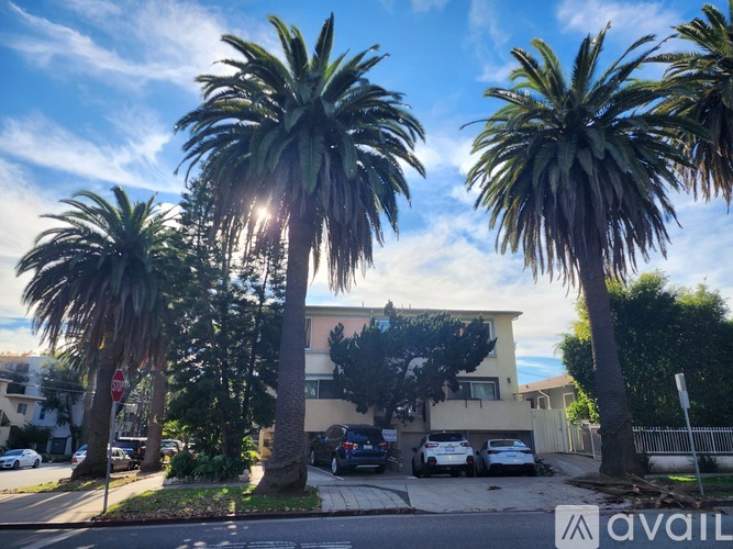 Palm trees in front of a building with cars parked in front.
