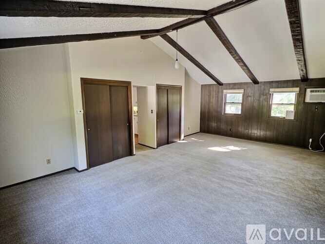 A spacious room with wooden walls and ceiling, carpeted floor, and two doors.