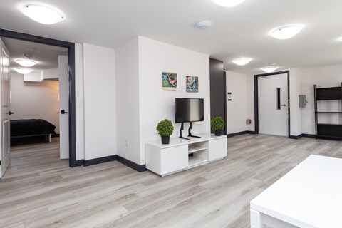 A room with a white wall and a black door.