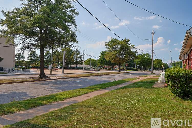 A tree in a grassy area next to a street.