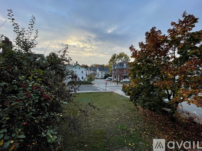 A view of a street with houses and trees on both sides.