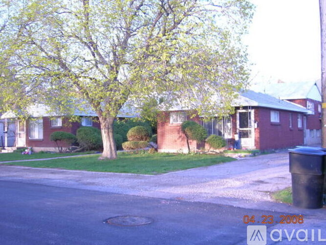 A tree with green leaves is in front of a house.