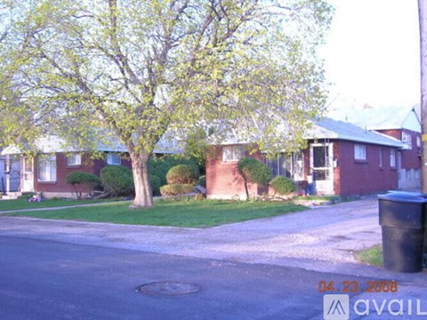 A tree with green leaves is in front of a house.