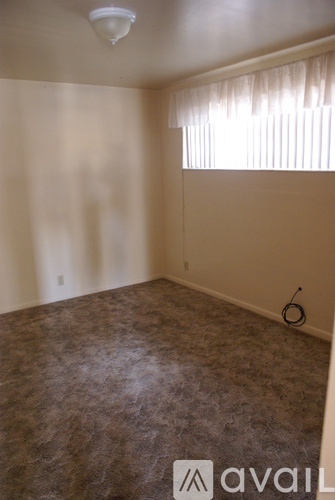 A room with a carpeted floor and a window with curtains.