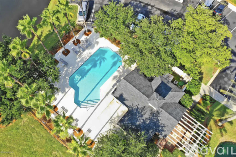 A swimming pool surrounded by palm trees and a deck.