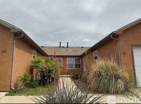 A house with the number 295 on the right side.