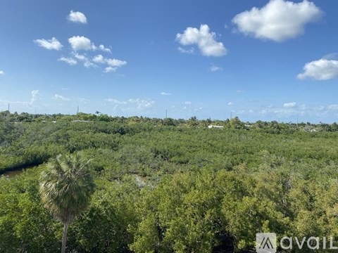 A palm tree stands in a field of greenery under a blue sky.