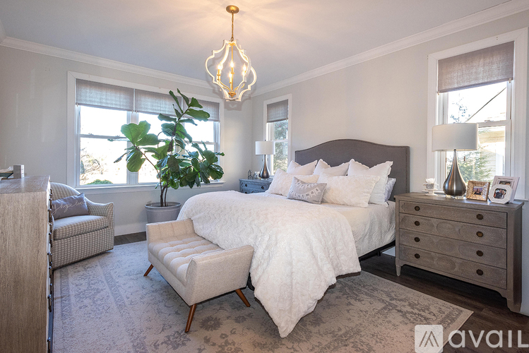 A well-lit bedroom with a large bed, a bench, and a potted plant.