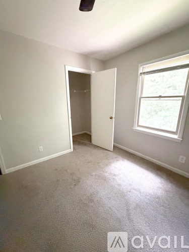 A room with a carpeted floor, a ceiling fan, and a window with a view of trees outside.