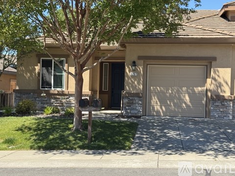 A house with a brown garage door and a tree in front.