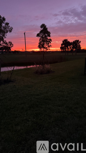 A field with a pond and trees under a sunset sky.