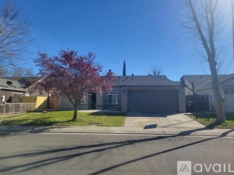 2234 Wall Street 4 Beds Apartment for Rent