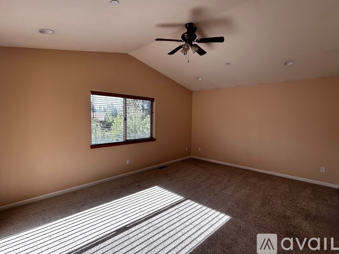 A room with a ceiling fan and a window letting in sunlight.