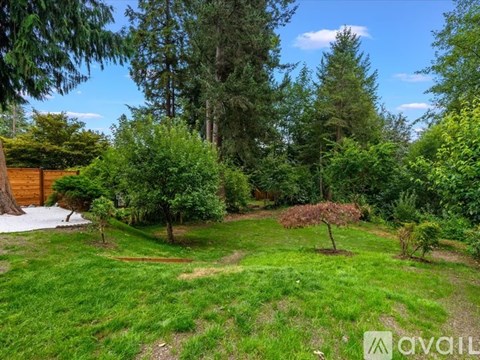 A lush green garden with a variety of trees and plants.