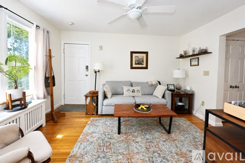 A living room with a grey couch and a rug.