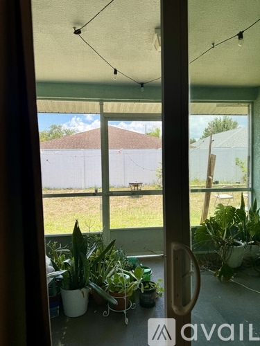 A room with a window and plants on the windowsill.