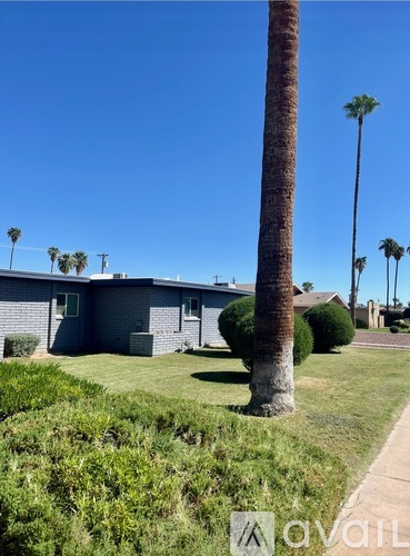 A house with a palm tree in front of it.