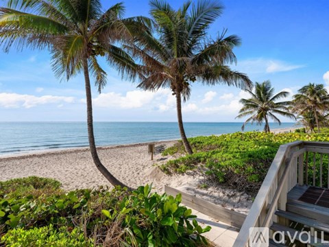 A beach scene with palm trees and a wooden deck.