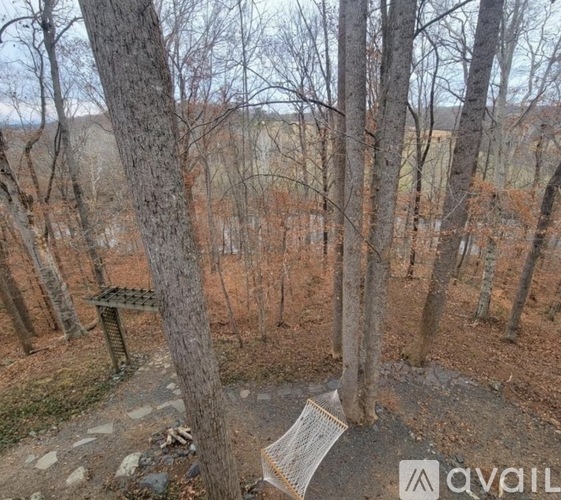 60 Chippewa Lane 3 Beds Single Family Home for Rent - Photo gallery 4