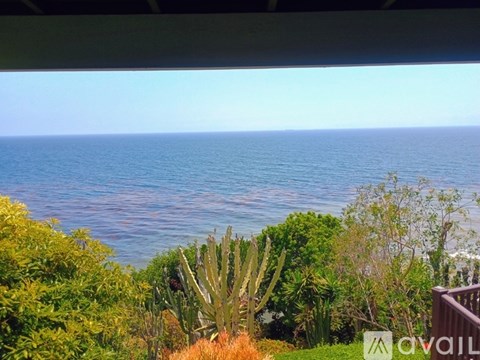 A cactus is in the foreground of a view of the ocean.