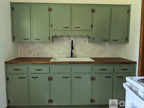 A kitchen with green cabinets and a white sink.