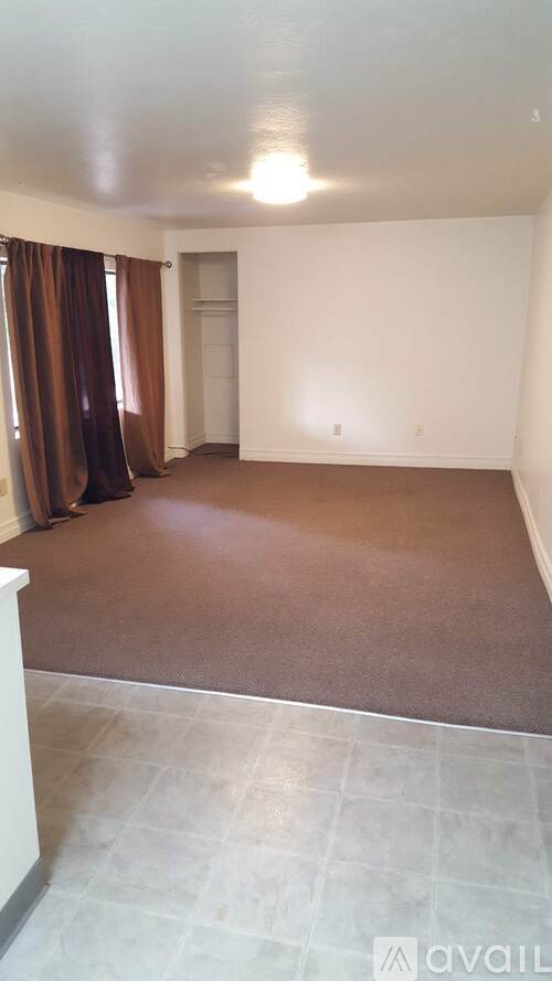 A room with brown carpet and a white wall.