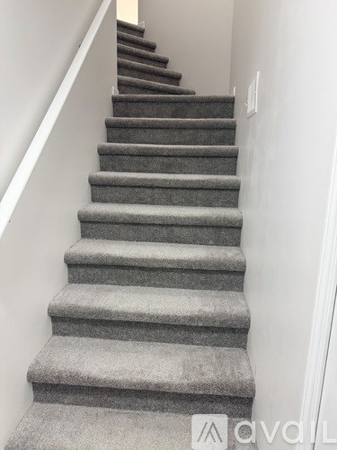 A set of stairs with a carpeted runner.