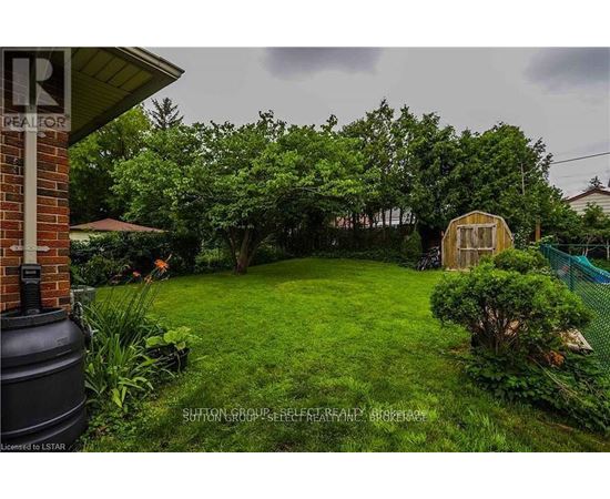 A backyard with a green lawn and a shed.