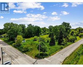 A road with trees on both sides and a clear sky.