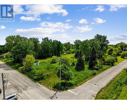A road with trees on both sides and a clear sky.