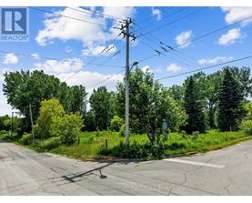 A road with a utility pole and trees in the background.