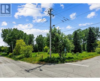 A road with a utility pole and trees in the background.