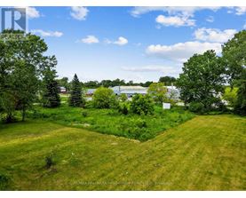 A lush green field with trees and a body of water in the distance.