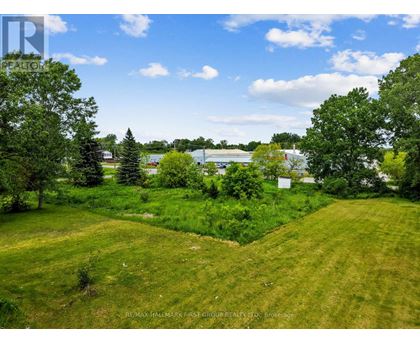 A lush green field with trees and a body of water in the distance.