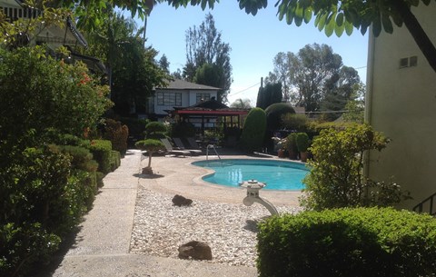 A pool surrounded by bushes and trees.