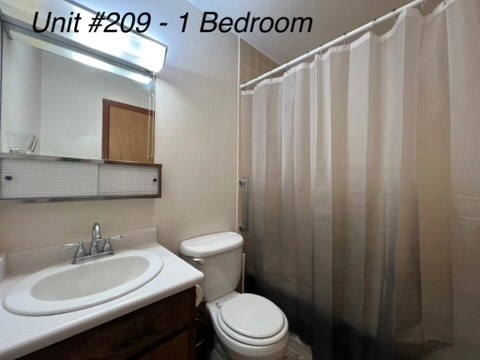 A bathroom with a toilet, sink, and shower curtain.