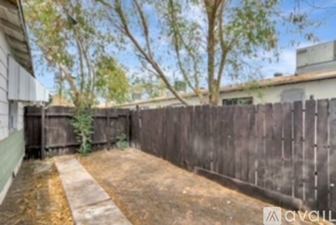 A backyard with a wooden fence and a small tree.
