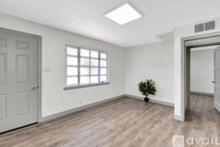 A room with a door, a window, and a plant.